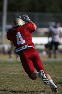 米兰体育网页版登录-中超球队重点对手研究频率分布，中超球队实力分析